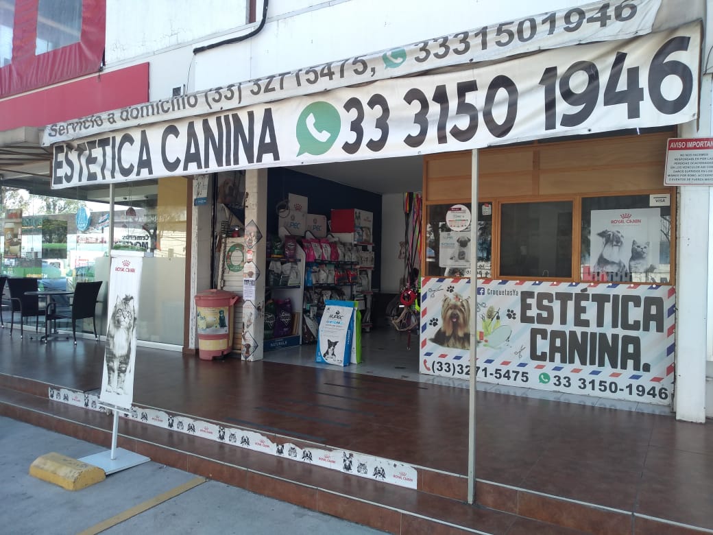 Estética Canina Mascotas Perros